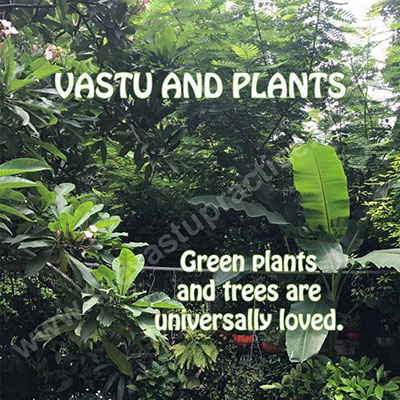 Vastu And Plants