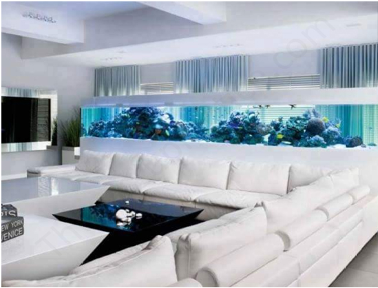 Vastu And Aquariums